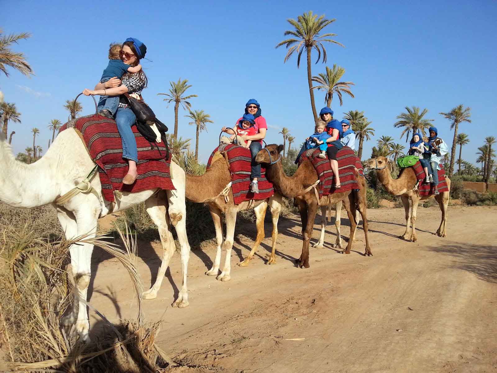 Sunset Tour & Camel Ride At Palm Grove Of Marrakech