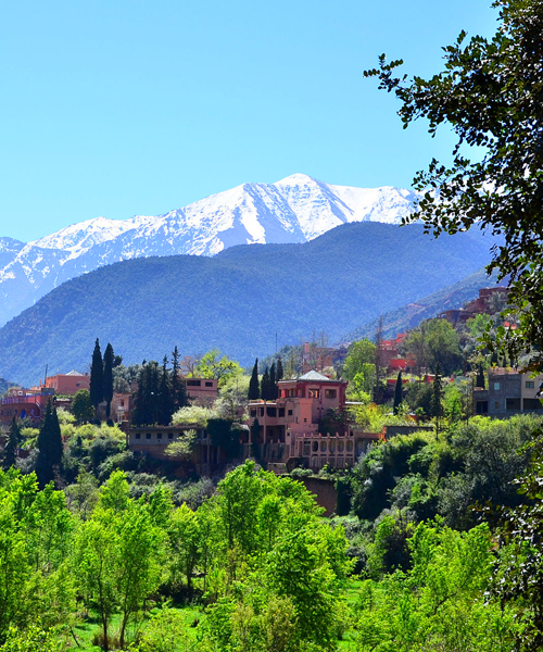 Full Day trip To Ourika Valley And The High Atlas Mountains
